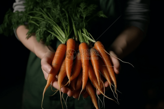 握着胡萝卜的一双手图片