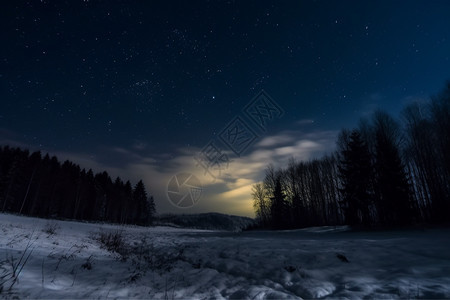 夜晚的雪地森林背景图片