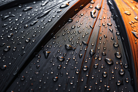 布满雨水的雨伞图片