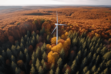 立在树林中的风力涡轮机图片