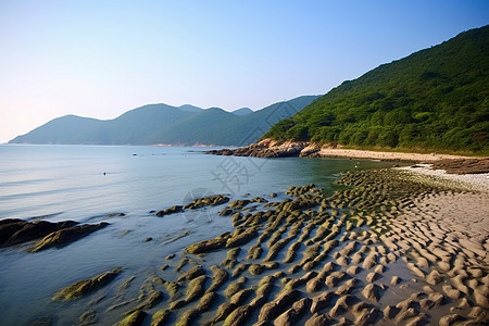 天空下的海洋海滩图片