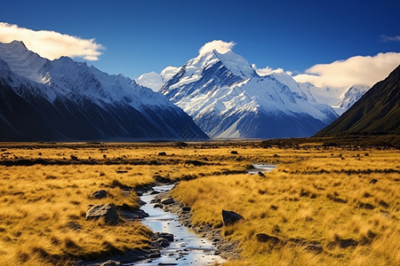 美丽的雪山草原图片