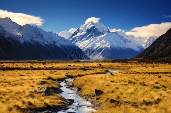 美丽的雪山草原图片