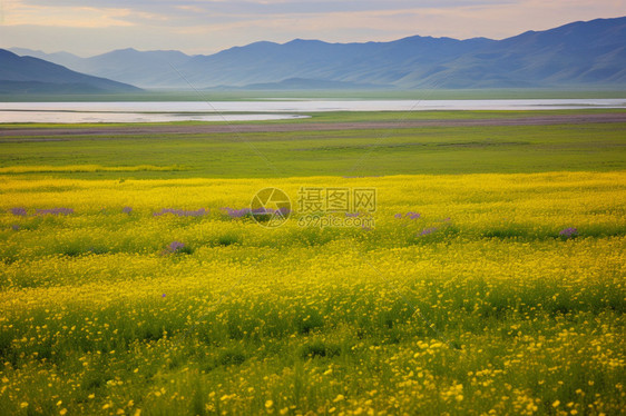 草原的景色图片