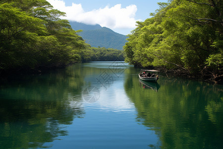 夏季的湖边图片