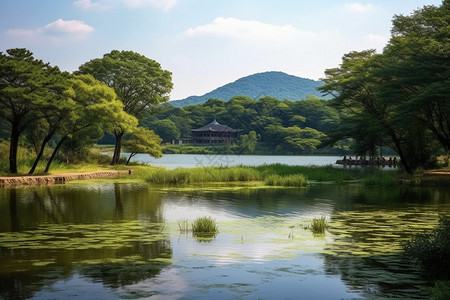 夏季河边的风景背景图片