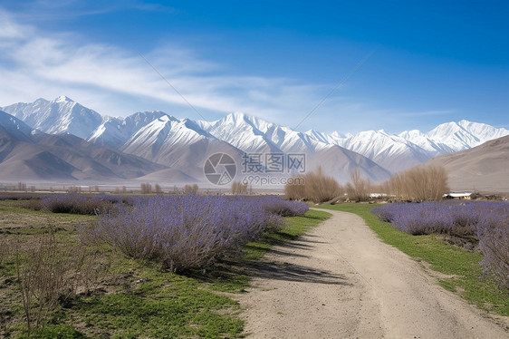 美丽的雪山景色图片