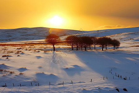 日落时分的乌兰布通草原景观图片