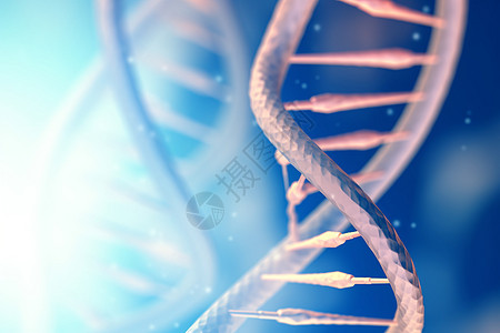 DNA螺旋结构高清图片