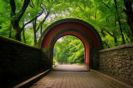 道路铺装公园绿色自然树木之间的铺石路背景