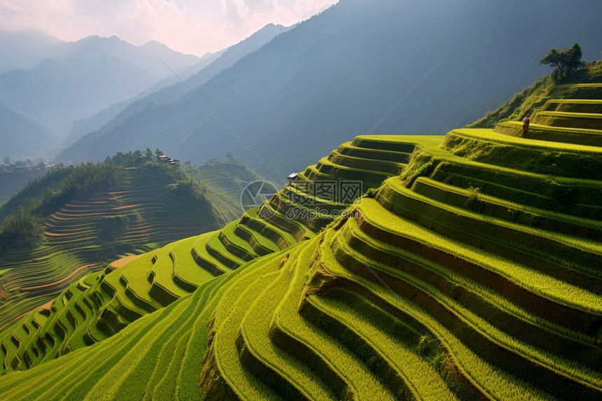 乡村梯田美景的远景图图片