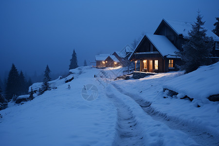 夜晚时分的静谧雪乡图片