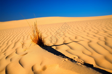 户外沙漠的沙子图片