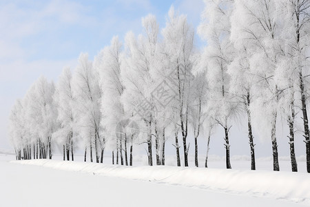 寒冷的冬季雪景图片