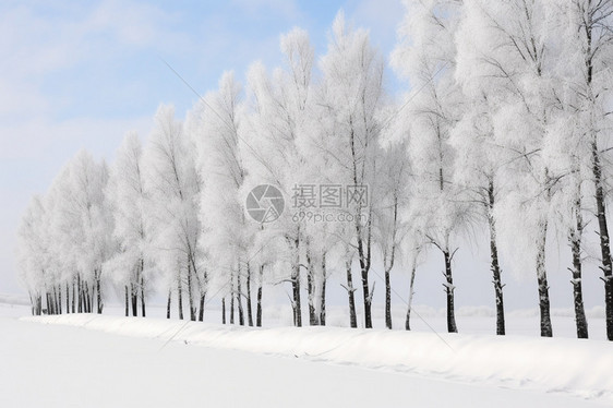 寒冷的冬季雪景图片