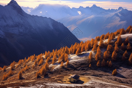 雄伟的山川森林图片