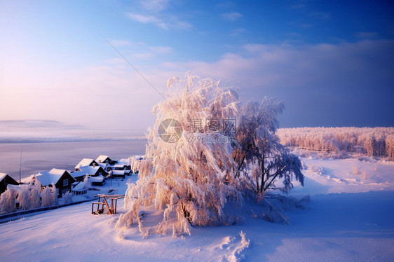 下雪后的雪乡图片