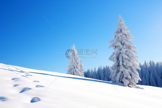 光滑的雪原图片