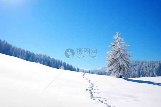 白茫茫的雪原图片