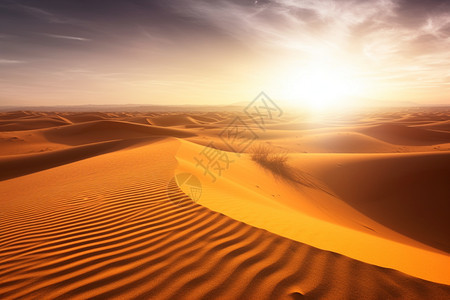 高温的沙漠图片
