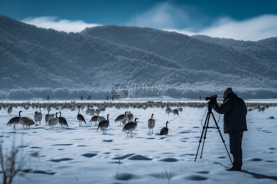 危险的雪地图片