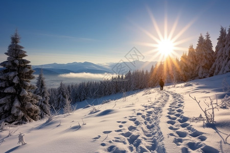 太阳下的雪山图片