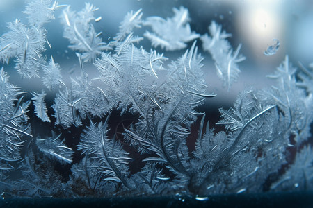 水晶玻璃冻结的霜花背景