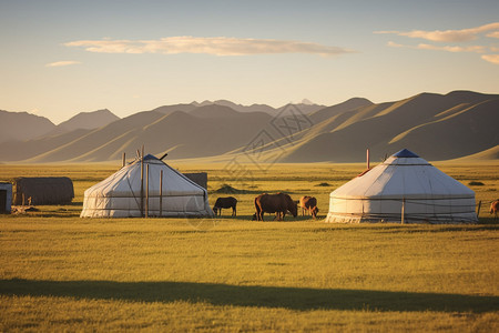 草原蒙古包背景图片