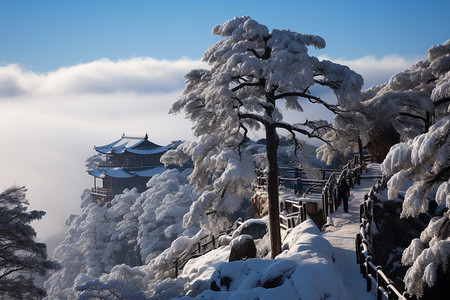 冬季黄山风景区的自然景观图片