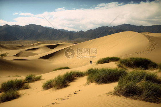 戈壁沙丘灌木丛自然风景图片