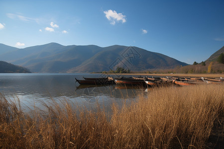泸沽湖的自然美景图片