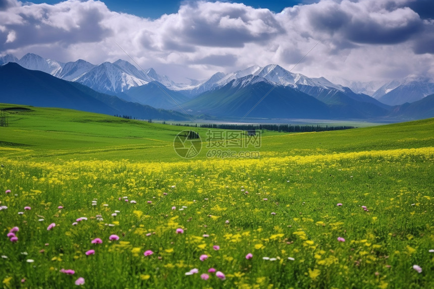 夏季的大草原图片