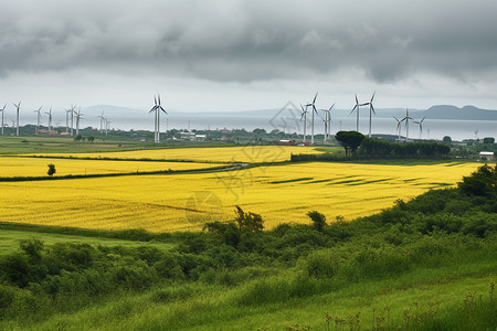 户外风力发电农场图片