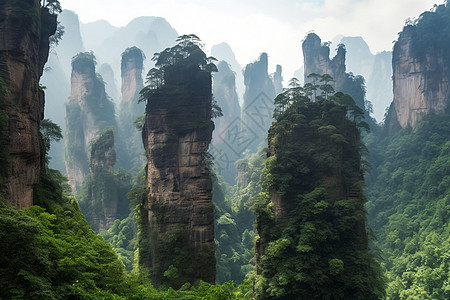 林场风景区云里雾里高清图片