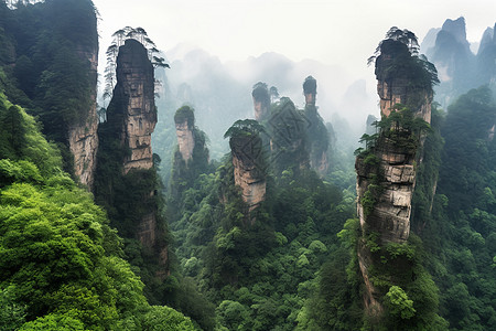 森林公园风景高清图片