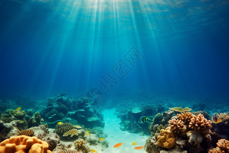 光亮的海底水底照片素材高清图片