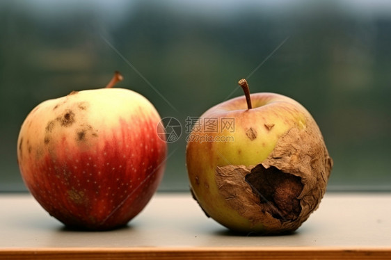 腐烂的苹果图片