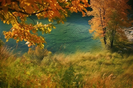 枯萎的树叶背景图片
