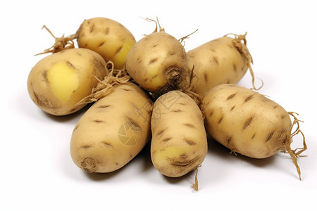 健康马铃薯幼苗高清图片