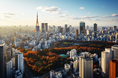 城市的大楼建筑背景图片