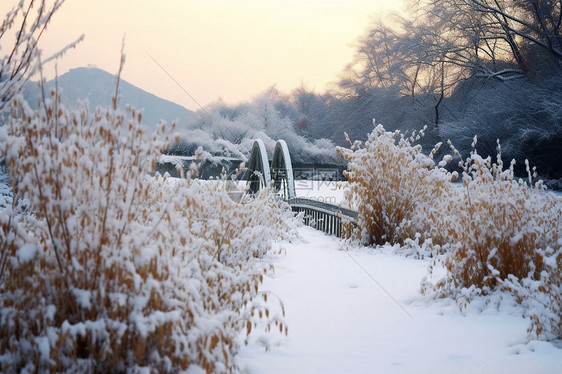 冬季的户外雪景图片