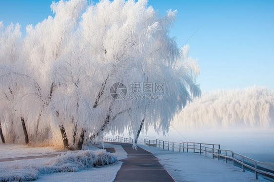 日出早晨雪白的景象图片