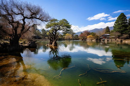 丽江风光美景背景图片