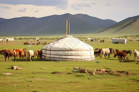 野外的蒙古包图片