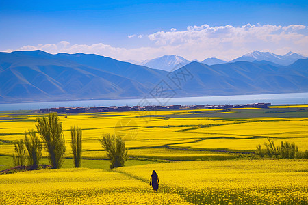 大美高山和花海图片