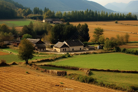 乡村的农田景色图片
