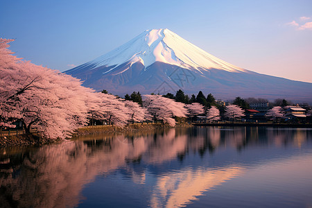 调粉色调粉色调的日本风景背景