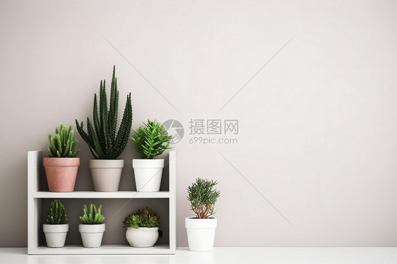 室内植物盆栽装饰图片