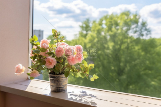 窗台上盛开的粉红玫瑰图片