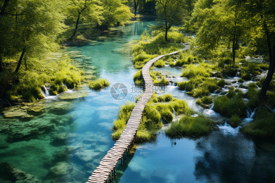 绿林穿过小溪的木桥图片
